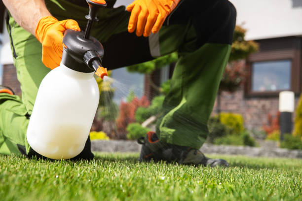 Best Rodent Control Near Me  in Portage, WI