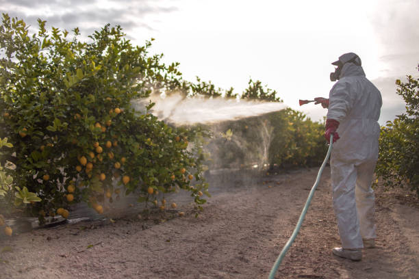 Pest Prevention Services in Portage, WI