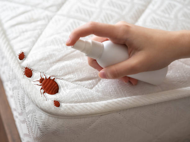 Best Residential Pest Control  in Portage, WI
