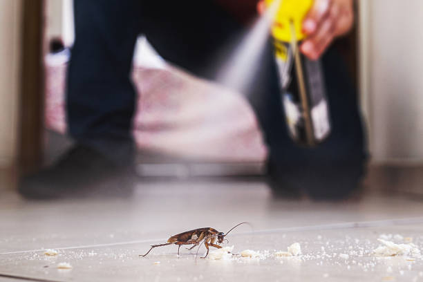 Best Insect Control  in Portage, WI