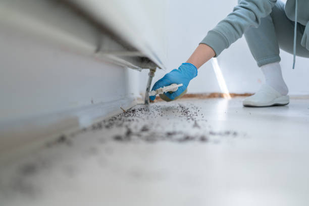 Best Pest Prevention Services  in Portage, WI
