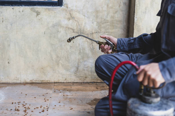Best Rat Extermination Near Me  in Portage, WI